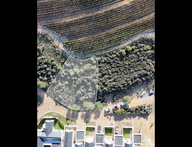 LAND FOR SALE IN CLOETESVILLE